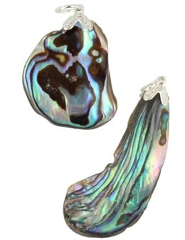 Hanger van abalone schelp