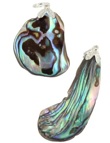 Hanger van abalone schelp