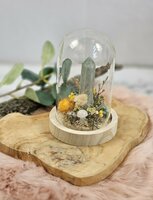 Amazoniet tuintje in stolp 